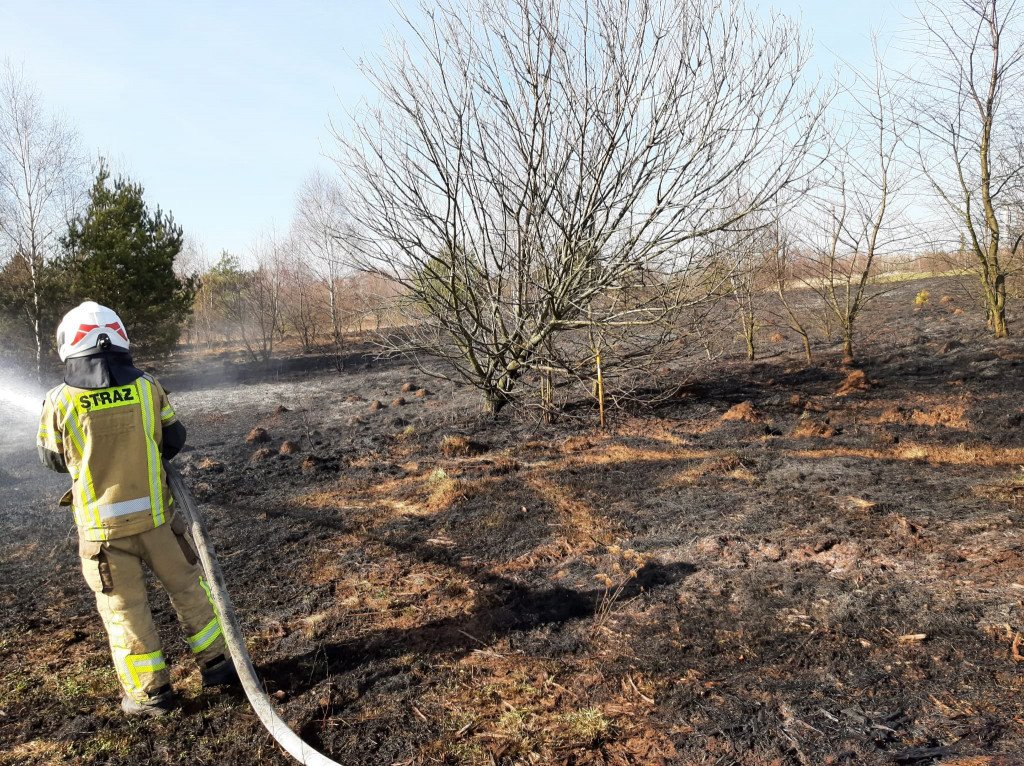 Pożary traw. Sobotnia kumulacja