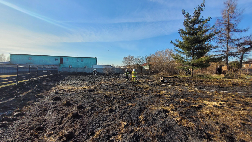 Pożary traw. Sobotnia kumulacja