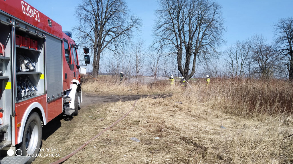 Pożary traw. Sobotnia kumulacja