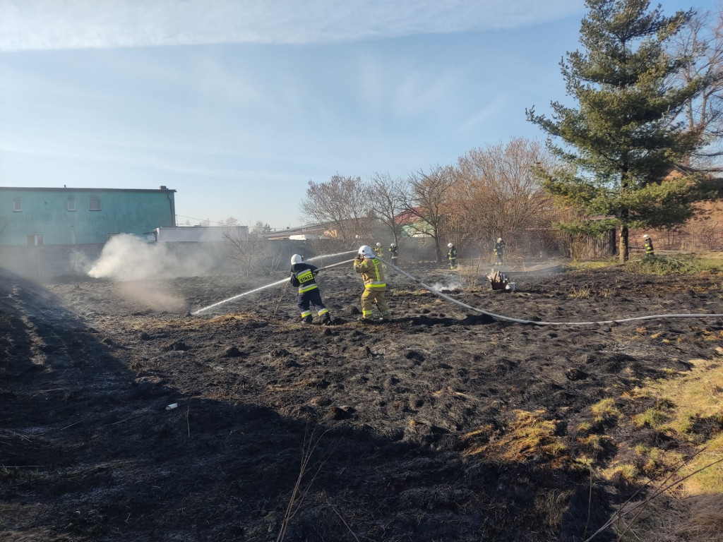Pożary traw. Sobotnia kumulacja