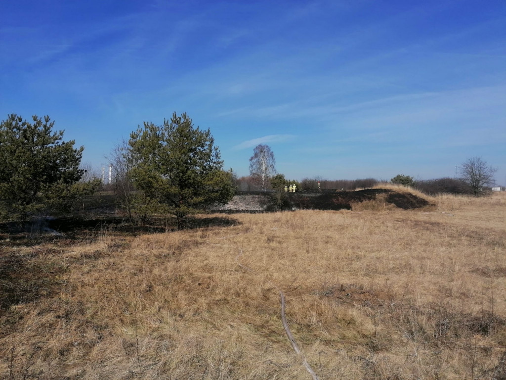 Pożary traw. Sobotnia kumulacja