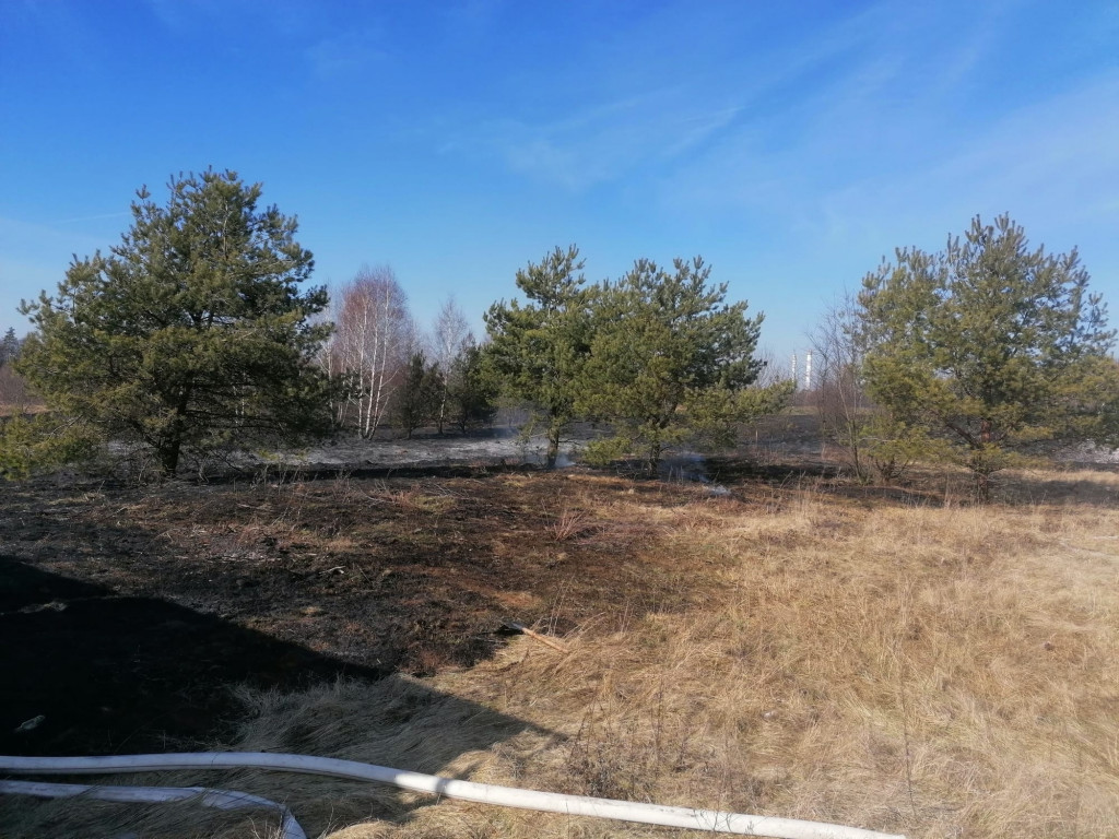 Pożary traw. Sobotnia kumulacja