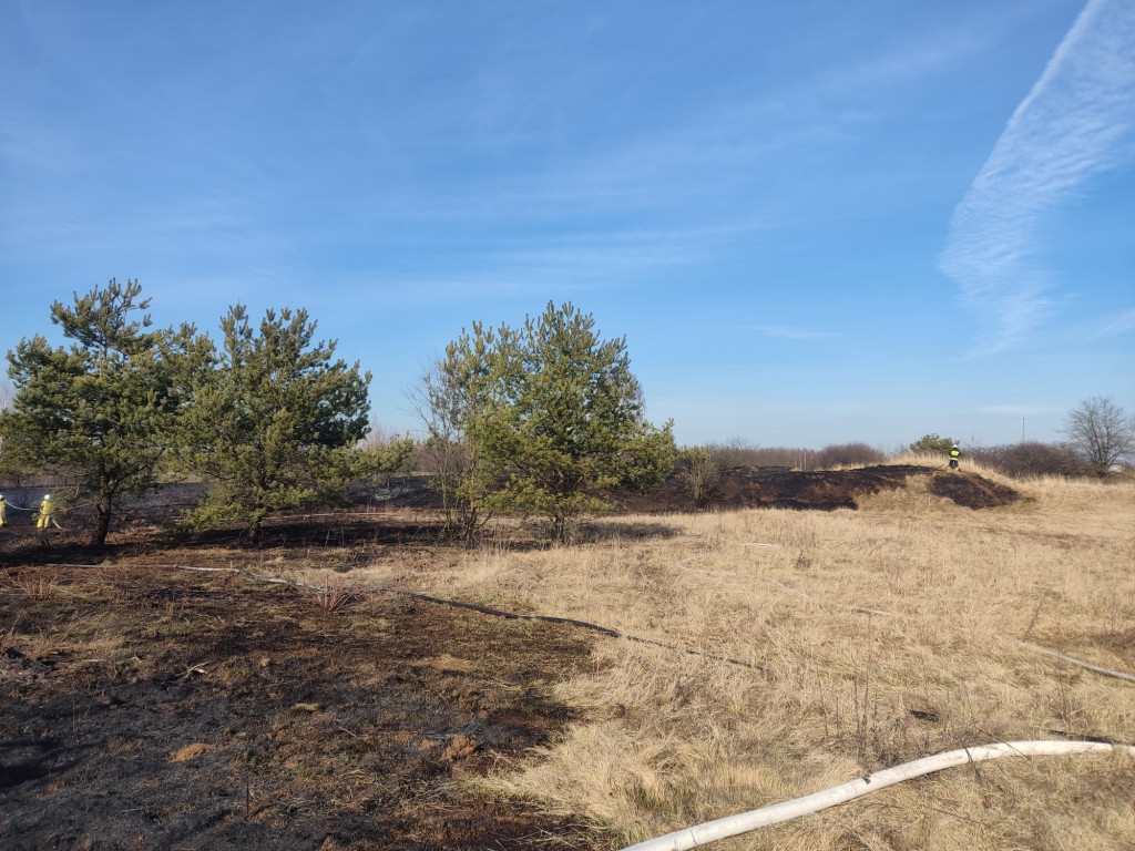 Pożary traw. Sobotnia kumulacja