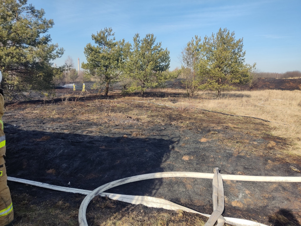 Pożary traw. Sobotnia kumulacja