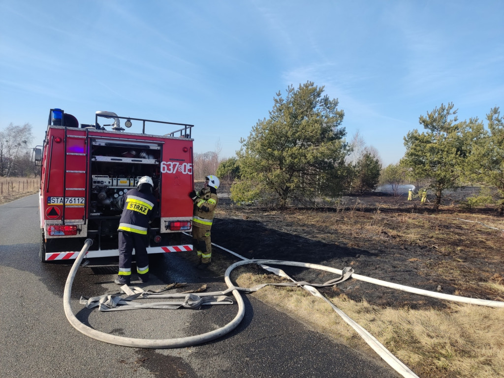 Pożary traw. Sobotnia kumulacja