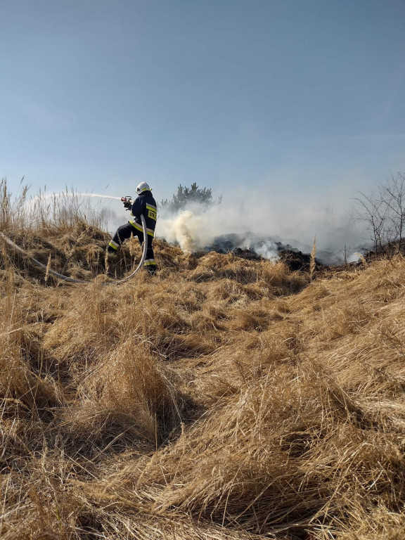 Pożary traw. Sobotnia kumulacja