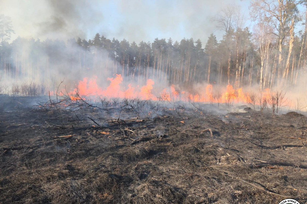 Paliły się 4 hektary nieużytków