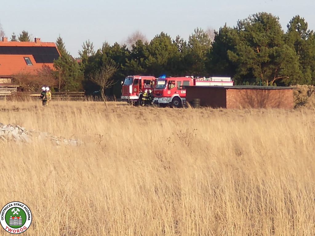 Paliły się 4 hektary nieużytków