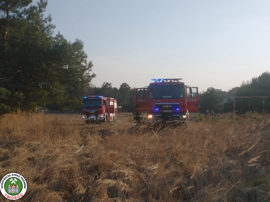 Paliły się 4 hektary nieużytków