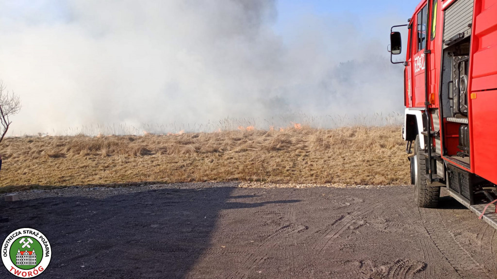 Paliły się 4 hektary nieużytków