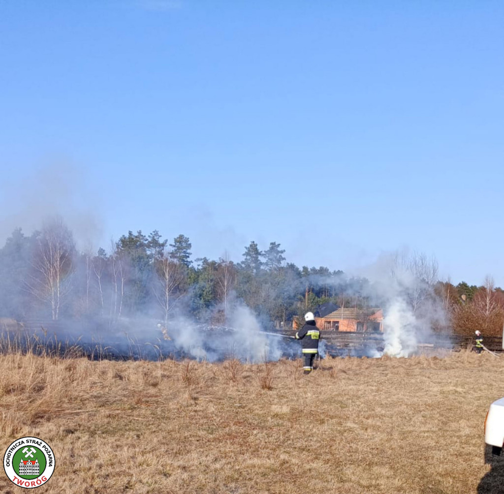 Paliły się 4 hektary nieużytków