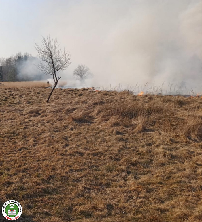 Paliły się 4 hektary nieużytków