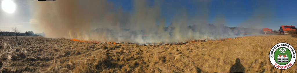 Paliły się 4 hektary nieużytków
