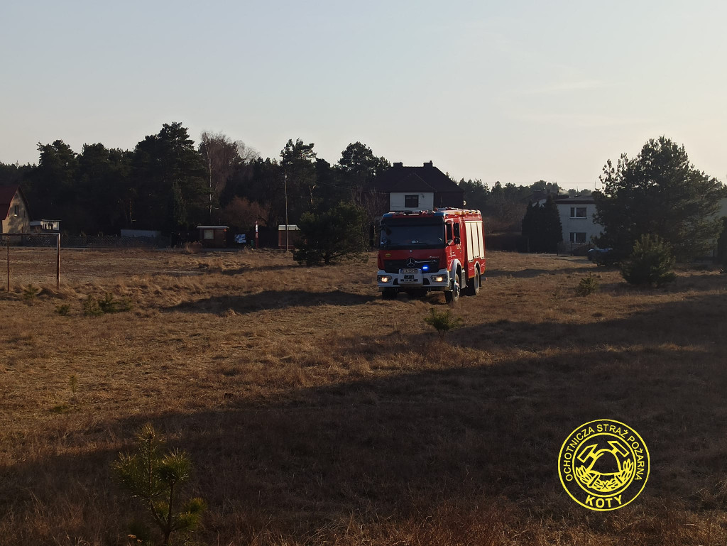 Paliły się 4 hektary nieużytków