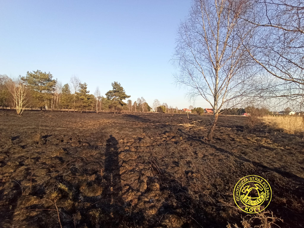 Paliły się 4 hektary nieużytków