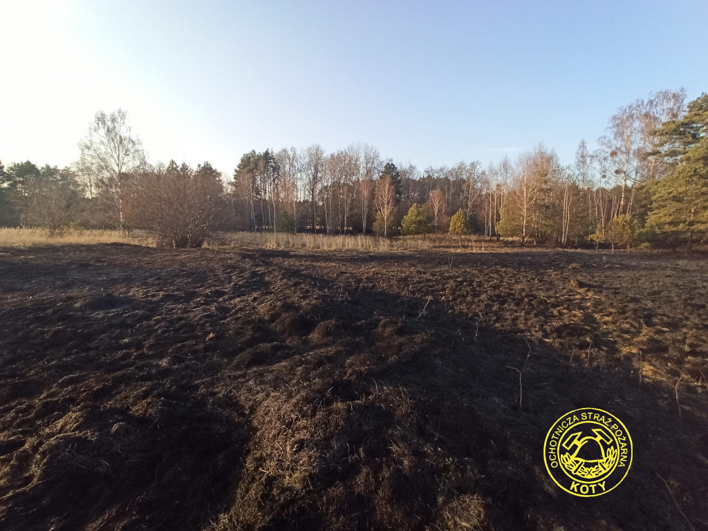 Paliły się 4 hektary nieużytków