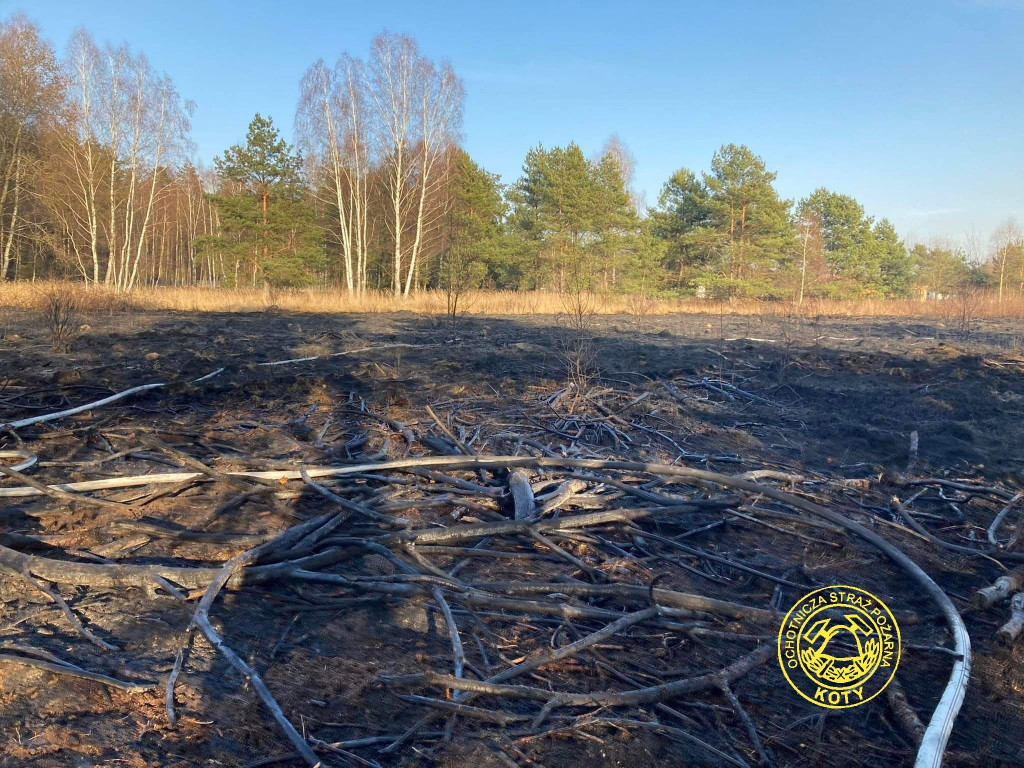 Paliły się 4 hektary nieużytków