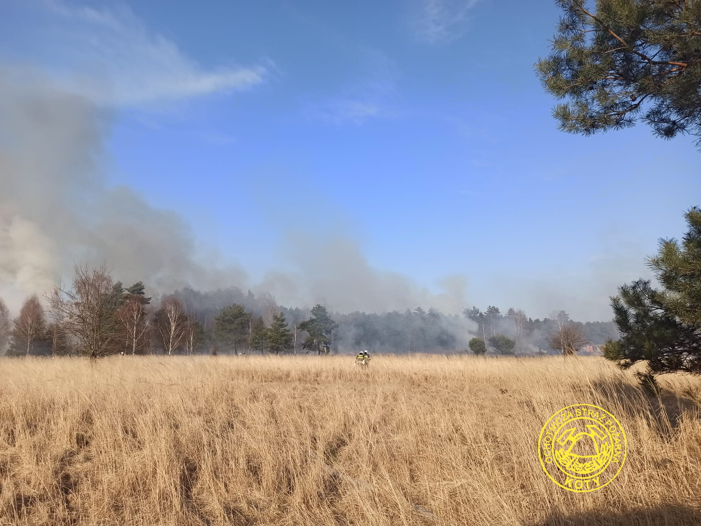 Paliły się 4 hektary nieużytków