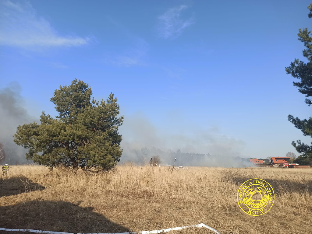 Paliły się 4 hektary nieużytków