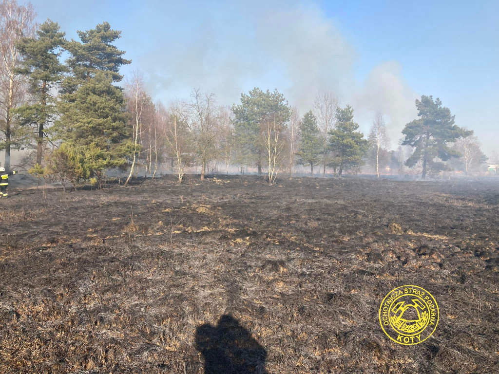 Paliły się 4 hektary nieużytków