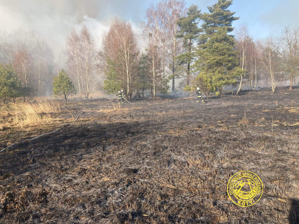 Paliły się 4 hektary nieużytków