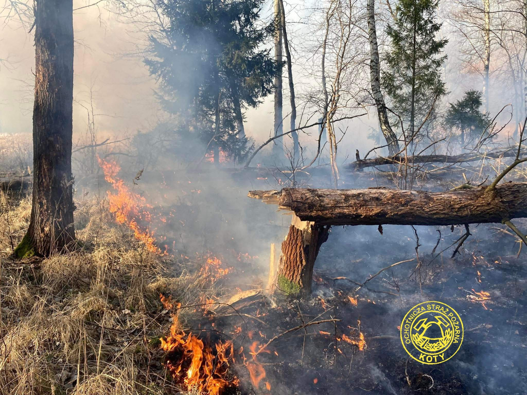 Paliły się 4 hektary nieużytków