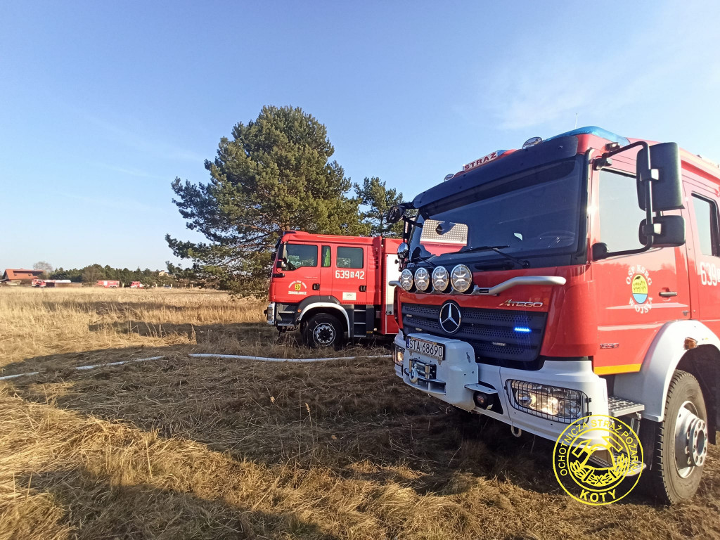 Paliły się 4 hektary nieużytków