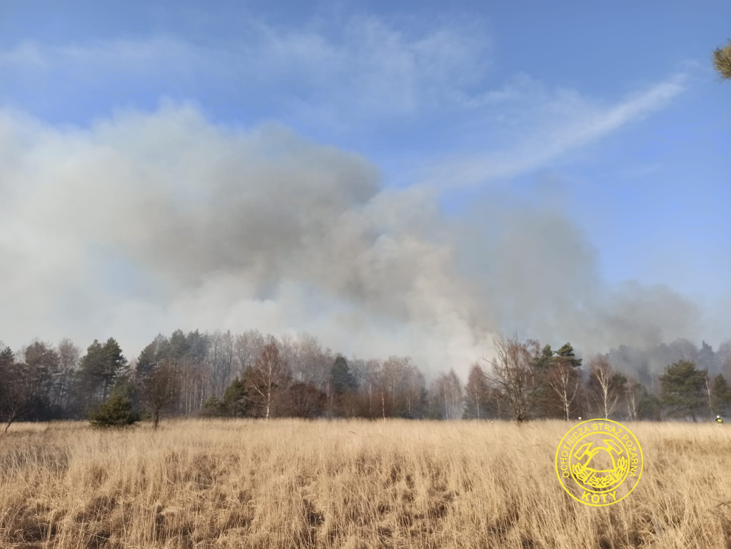 Paliły się 4 hektary nieużytków