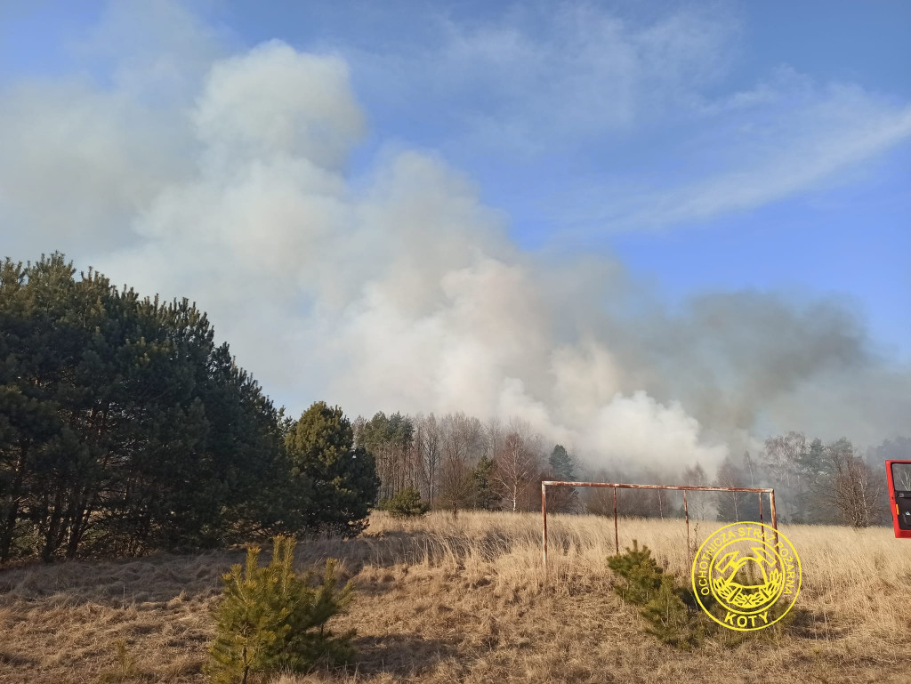 Paliły się 4 hektary nieużytków