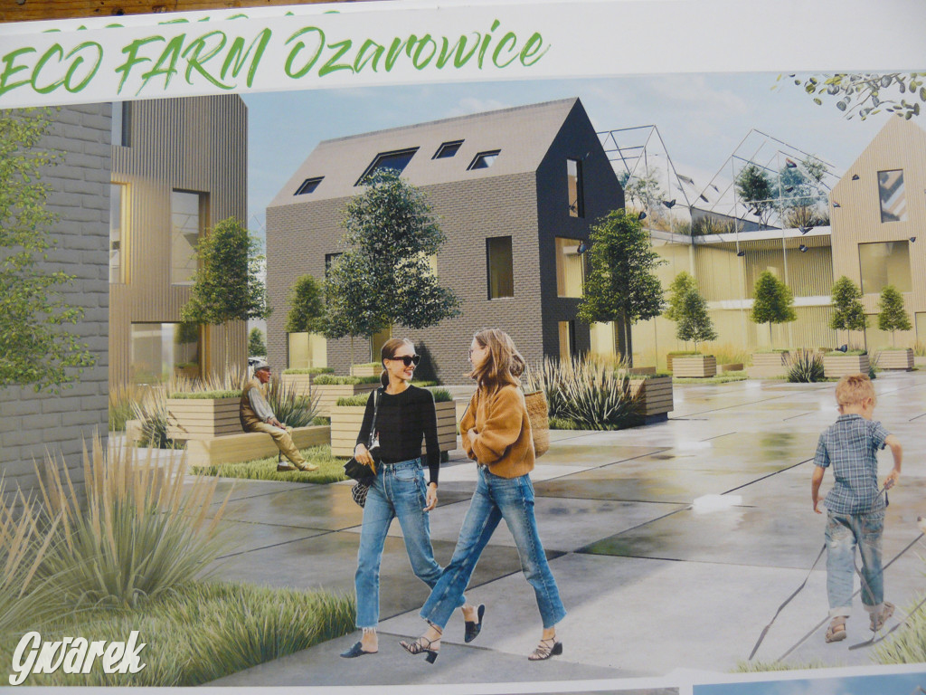 Koncepcje rynku i deptaka w Ożarowicach