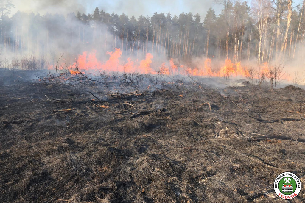 Strażacy walczą z żywiołem i głupotą