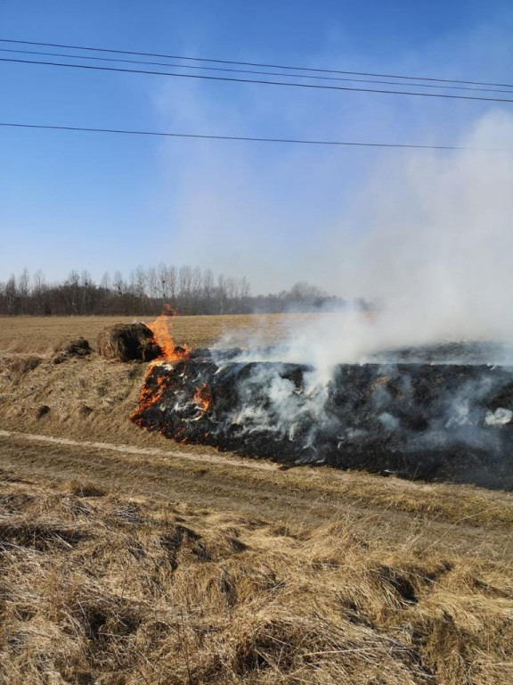 Strażacy walczą z żywiołem i głupotą