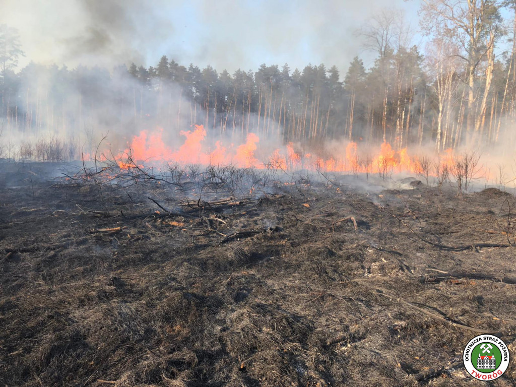 Strażacy walczą z żywiołem i głupotą