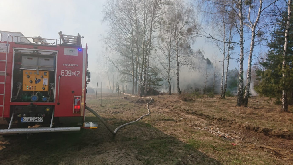 Strażacy walczą z żywiołem i głupotą