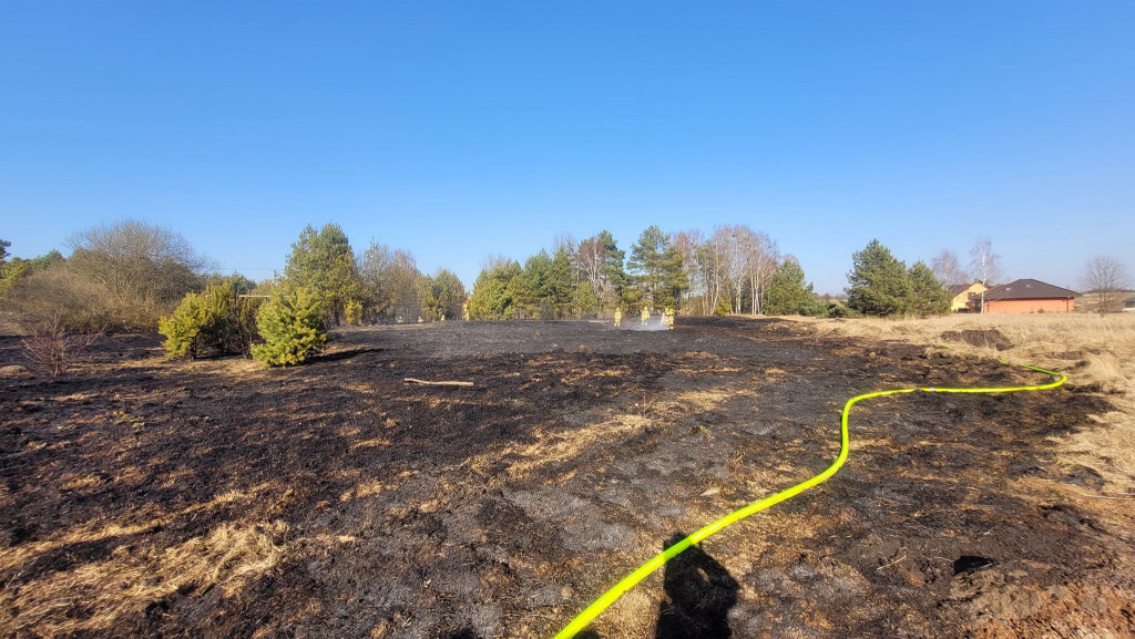 Strażacy walczą z żywiołem i głupotą