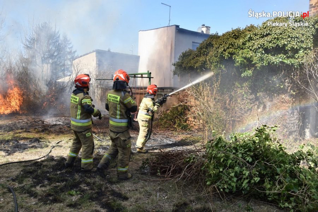 Strażacy walczą z żywiołem i głupotą