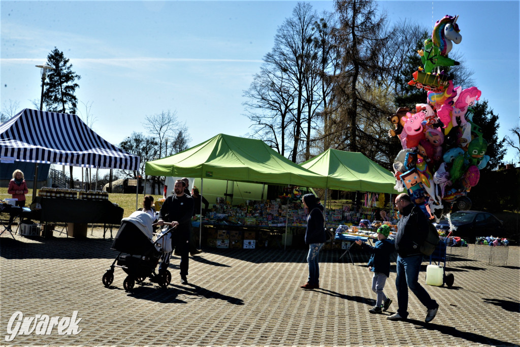 Foodtrucki w Miasteczku Śląskim
