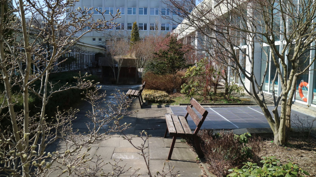 Tak zagospodarują teren przy GCR Repty