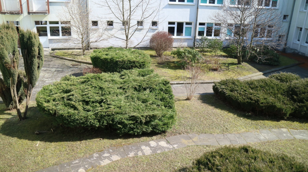 Tak zagospodarują teren przy GCR Repty