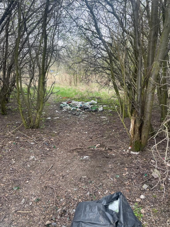 Tarnowskie Góry i dzikie wysypiska