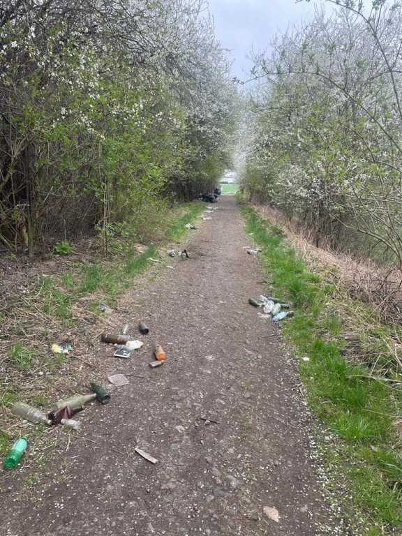 Tarnowskie Góry i dzikie wysypiska