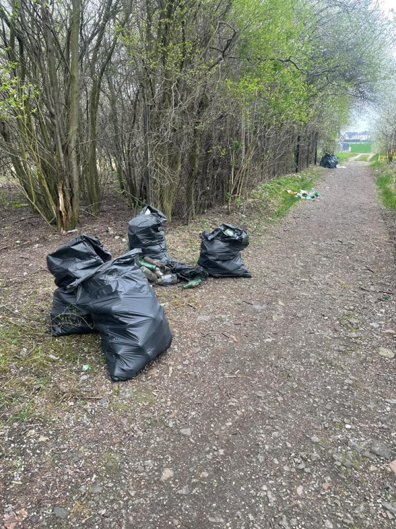 Tarnowskie Góry i dzikie wysypiska