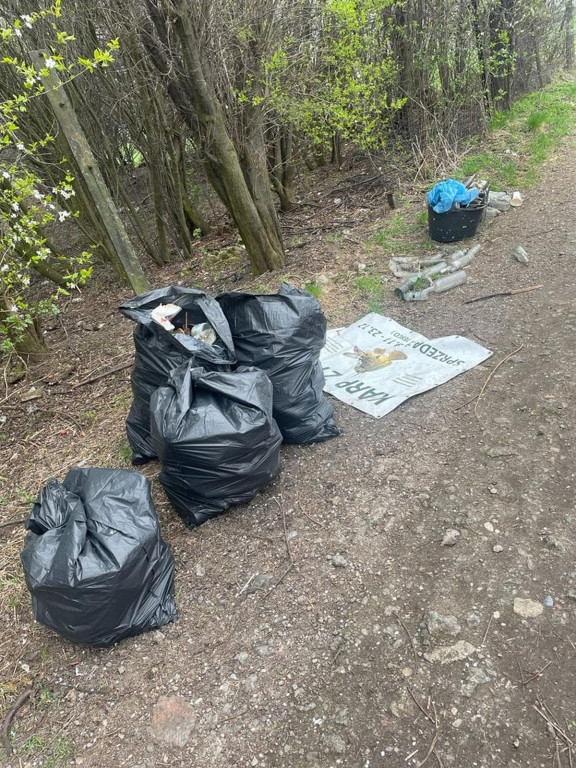 Tarnowskie Góry i dzikie wysypiska