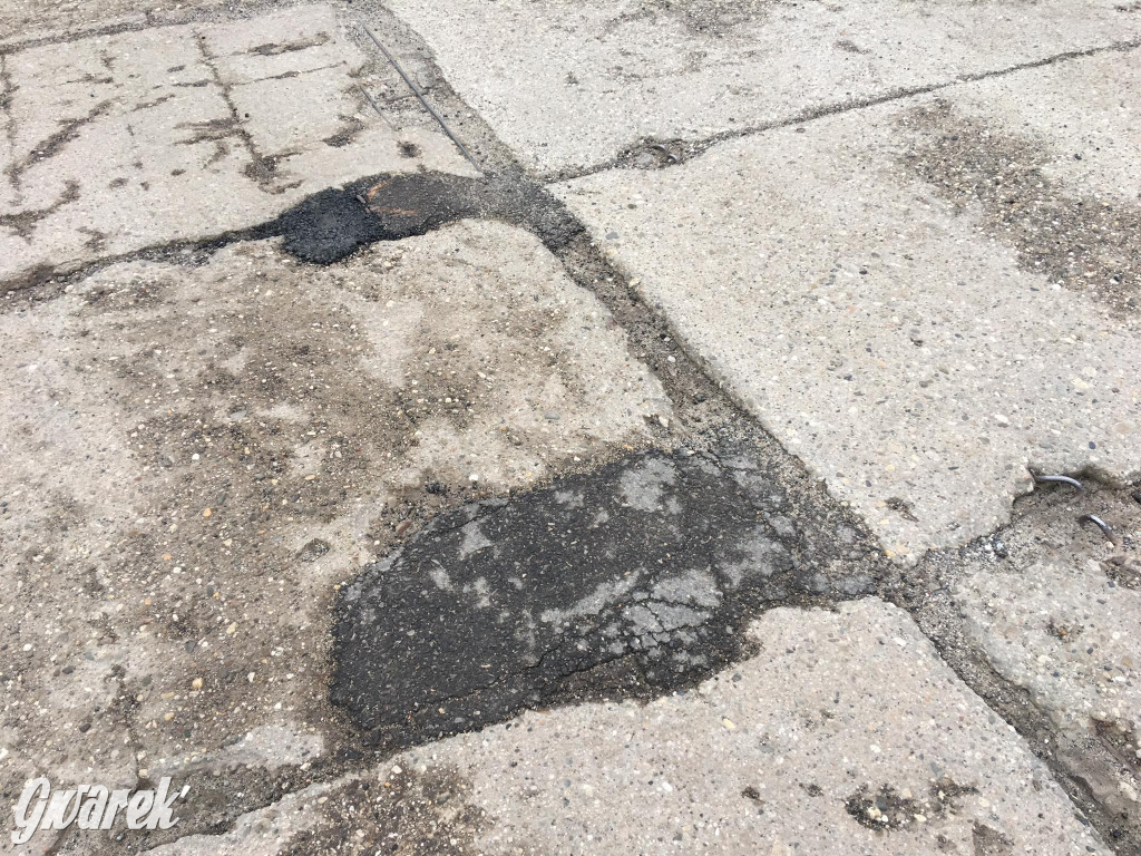 Tarnowskie Góry. Polarną po płytach