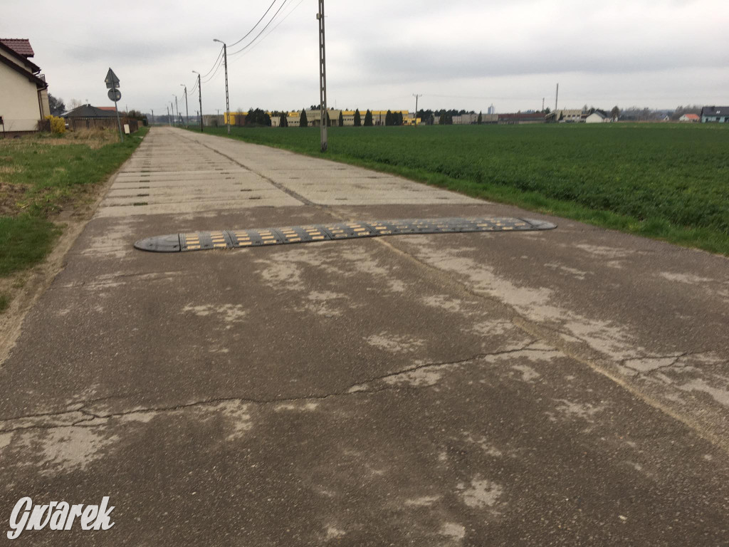 Tarnowskie Góry. Polarną po płytach