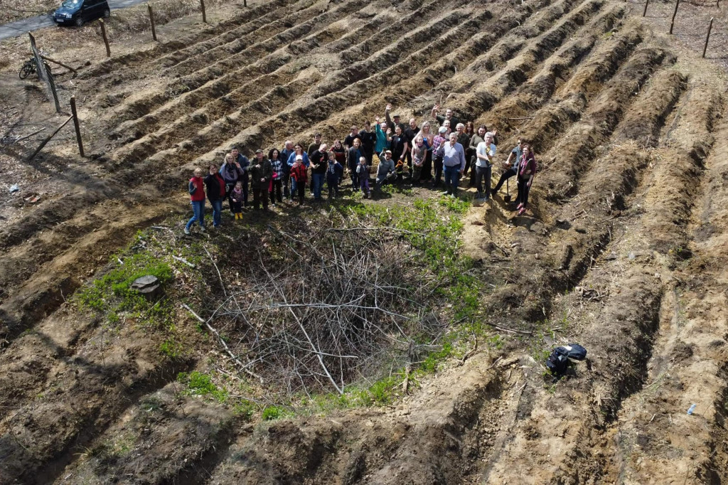 Zasadzili 1200 drzewek w Piekielcu