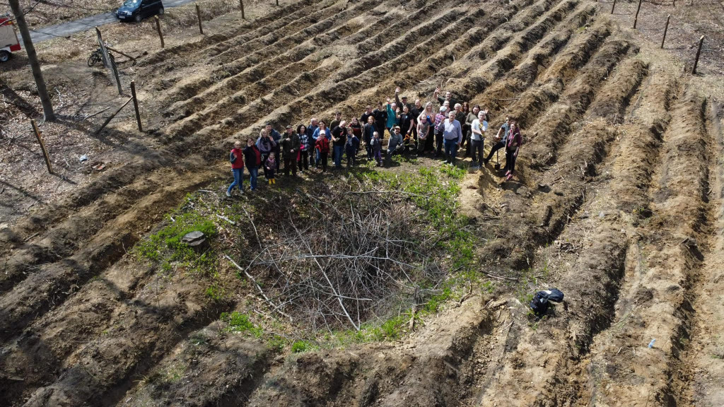 Zasadzili 1200 drzewek w Piekielcu