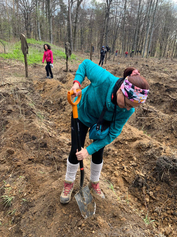 Zasadzili 1200 drzewek w Piekielcu