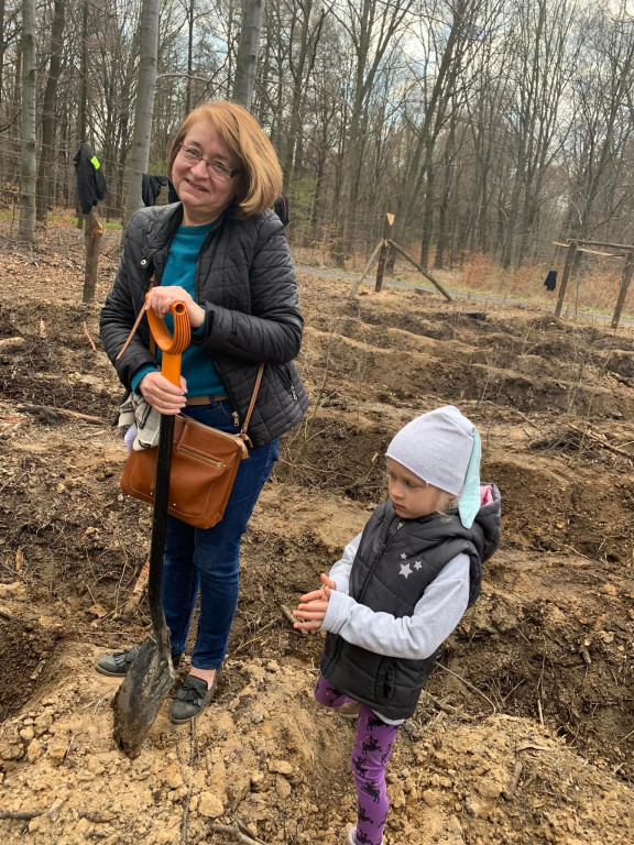 Zasadzili 1200 drzewek w Piekielcu