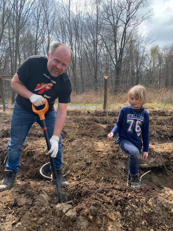 Zasadzili 1200 drzewek w Piekielcu